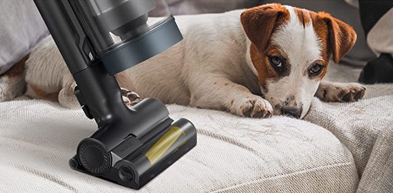 vacuum with dog