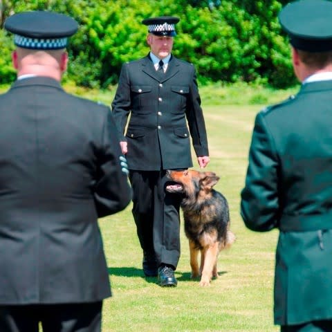 Storm’s award comes as he gets set to retire after seven years of service (BTP/PA)