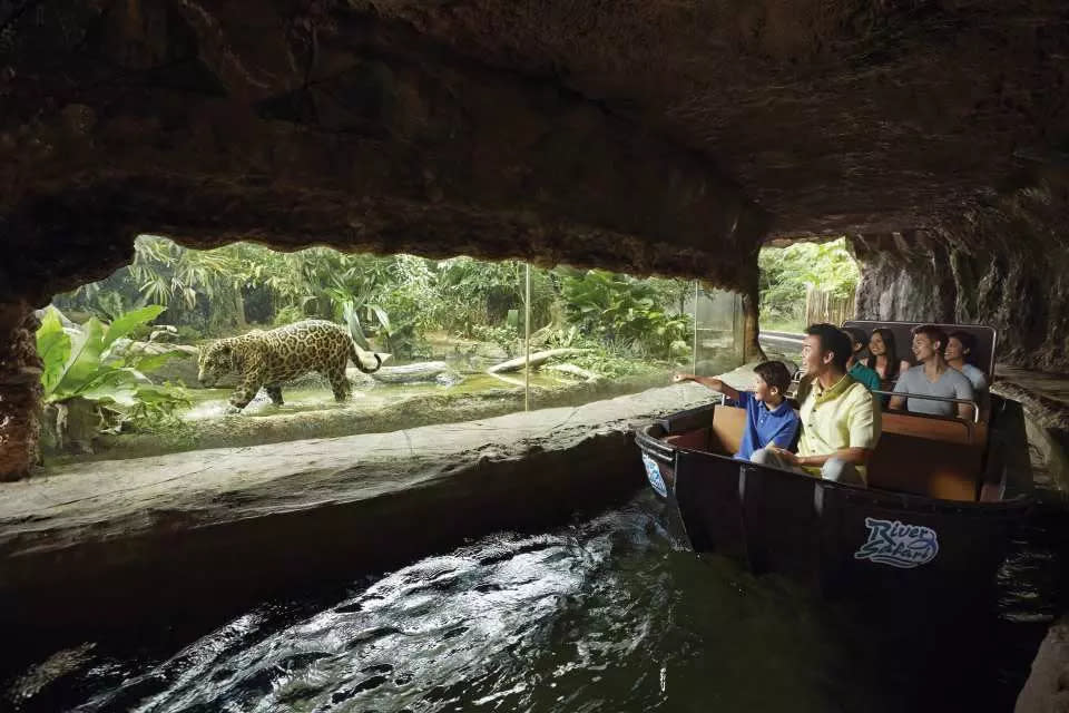 新加坡旅遊｜亞洲唯一河流野生動物園門票低至$244！河川生態園採索亞馬遜河流域河畔動物、邂逅優雅海牛、萌爆水豚