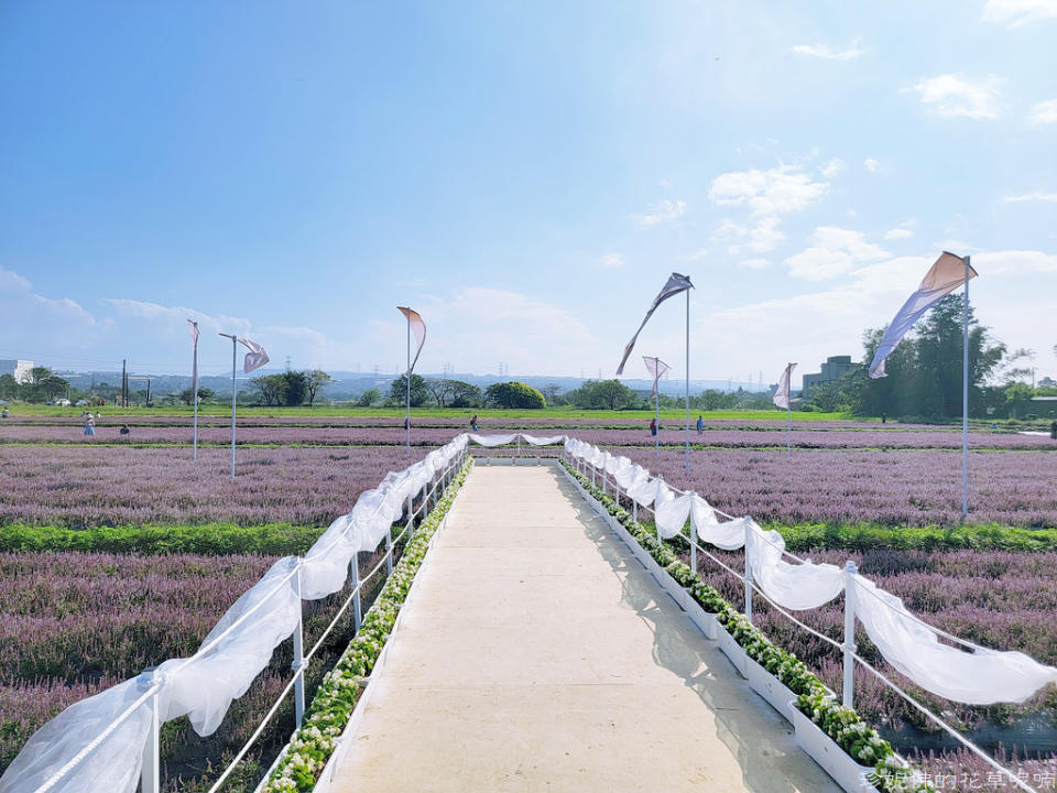 2022桃園仙草花節～仙茶之舞