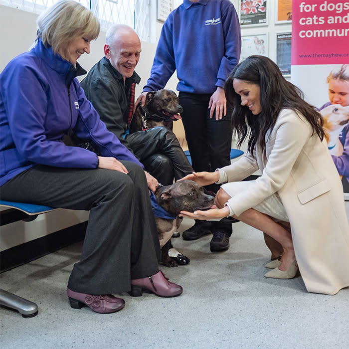 Meghan Markle con un perro en una organización de animales