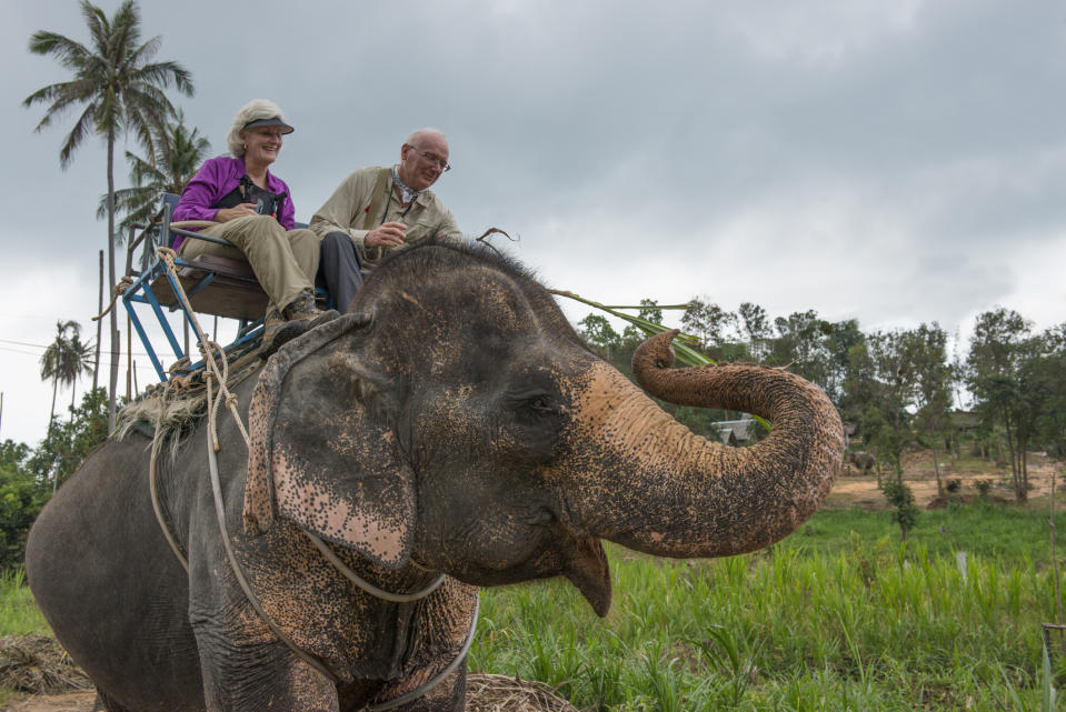 Elderly tourists riding on top of an elephant in a field.