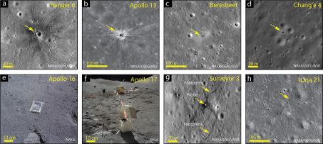  Crédit : Holcomb et al