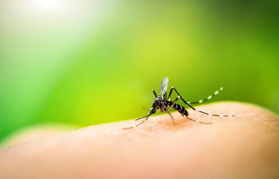 Two people and two horses in Eastern Washington have been sickened by West Nile virus spread by mosquitoes.