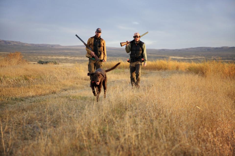 Two mean wearing jackets and holding shotguns as they walk across a grassy field with a dog.