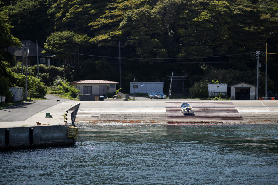 A cat, left, walks across Odomari Port on Tashirojima island in Ishinomaki, northeastern Japan, Saturday, May 18, 2024. (AP Photo/Hiro Komae)