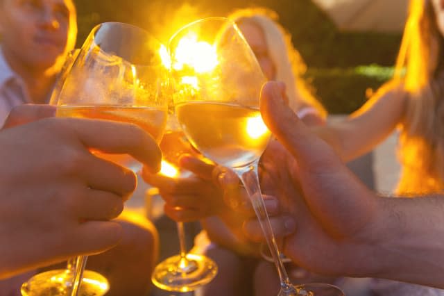 Group of young people toasting with wine glasses.