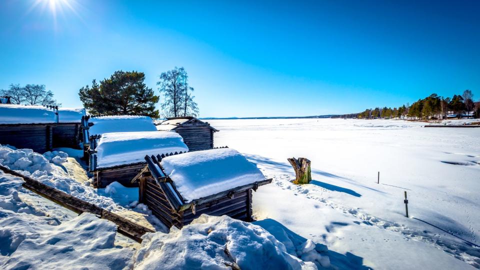 Explore the wilds of Dalarna province in the winter