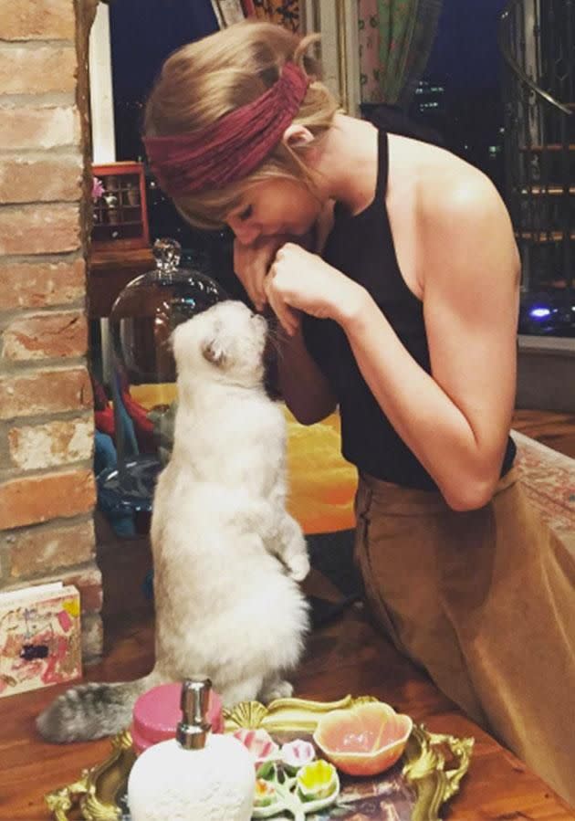 Taylor is cat crazy and Drake is crazy for Taylor! Photo: Instagram/taylorswift