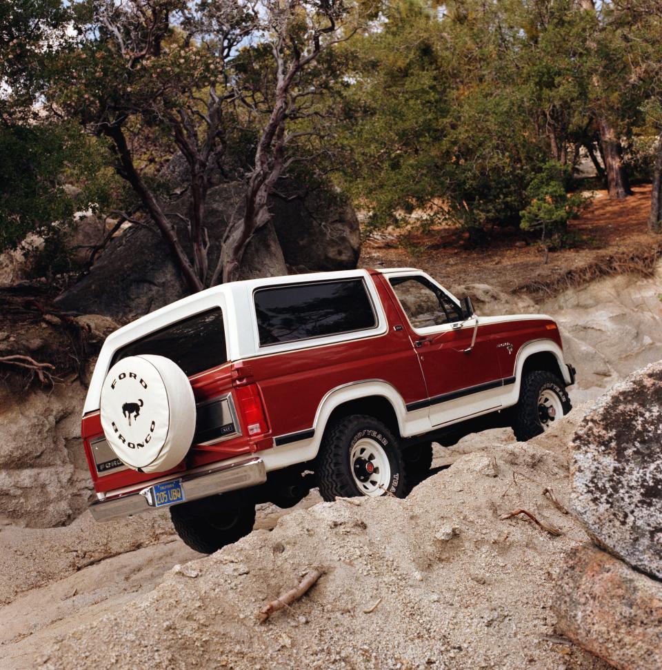 1981 Ford Bronco neg CN27006 022