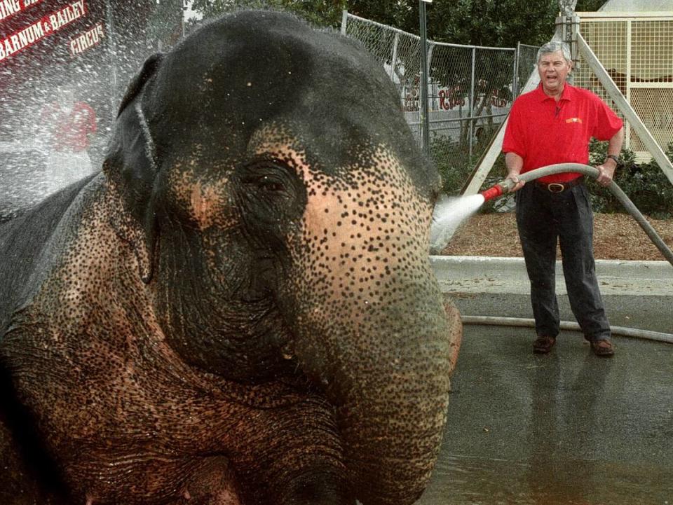 1/5/00, Broward: El senador estadounidense Bob Graham ladrando una orden mientras lava a Duchess, uno de los elefantes del circo Ringling Bros. que actúa en National Car Rental Center. Graham cumplía su 355º día de trabajo en el circo.