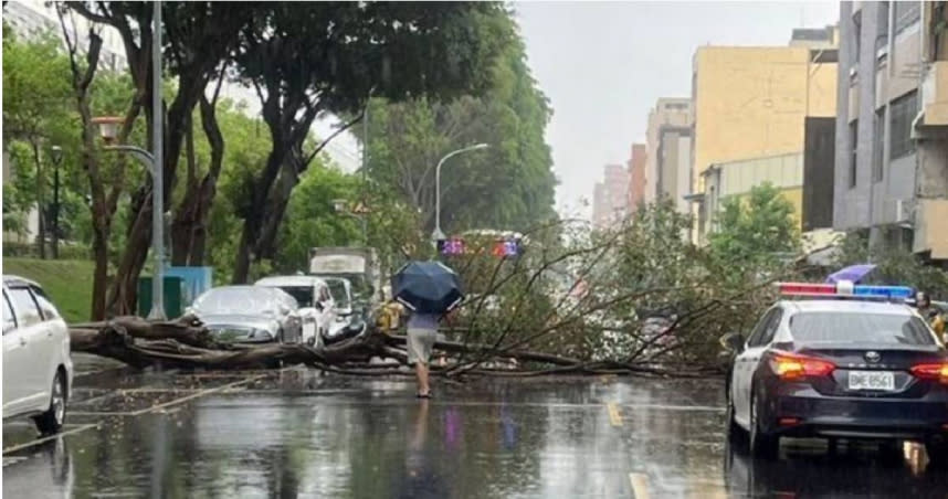 台中28日早上發生2棵路樹因大雨倒塌在路中，因鄰近車站造成公車需繞道通行。（圖／翻攝畫面）