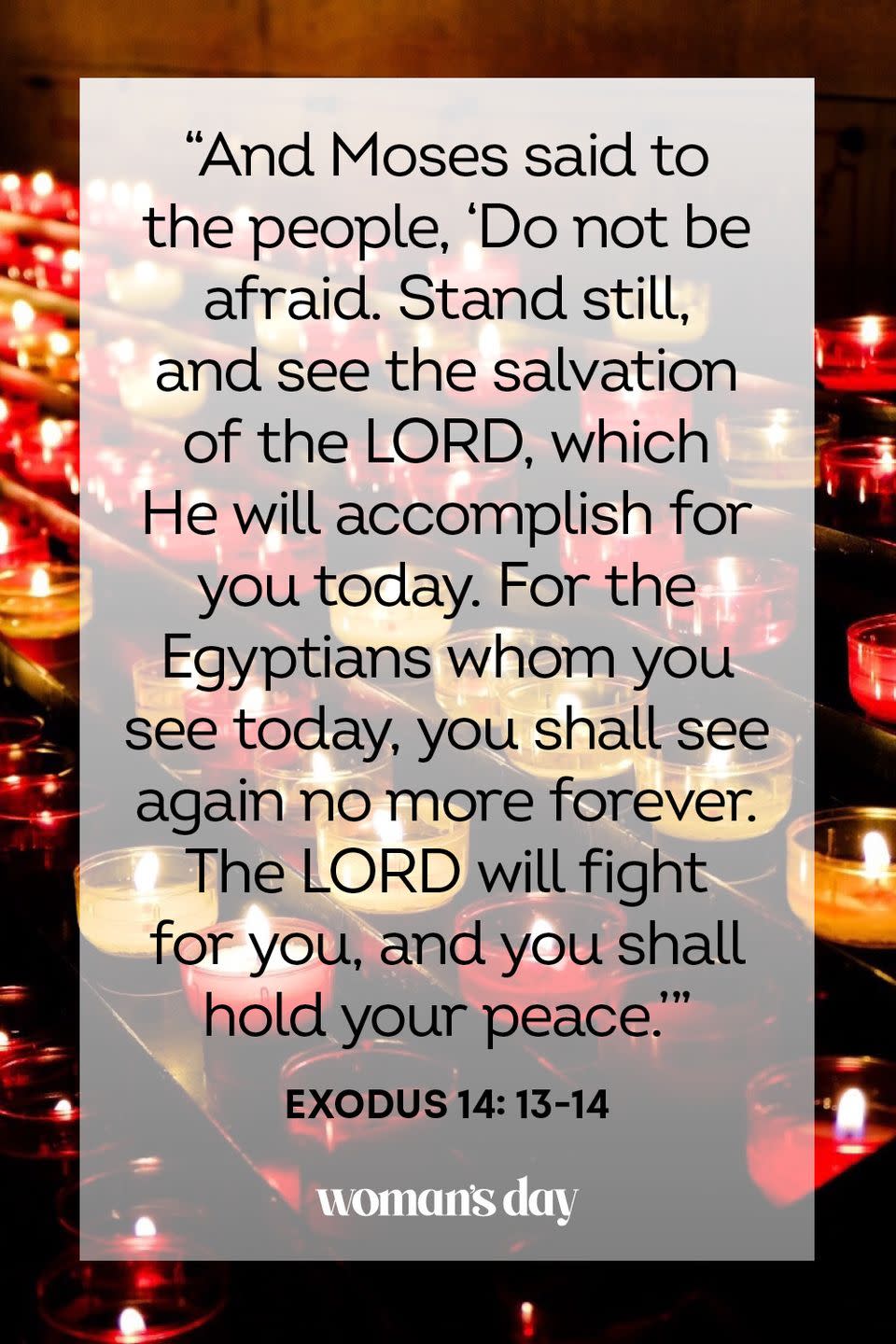 <p>“And Moses said to the people, ‘Do not be afraid. Stand still, and see the salvation of the LORD, which He will accomplish for you today. For the Egyptians whom you see today, you shall see again no more forever. The LORD will fight for you, and you shall hold your peace.’” — Exodus 14: 13-14</p><p><strong>The Good News: </strong>Just as Moses told the Israelites, you must have faith in God's plan, even if the journey is unknown and seems frightening. For He will fight for you and never put you in the hands of danger as long as you have faith in Him. </p>