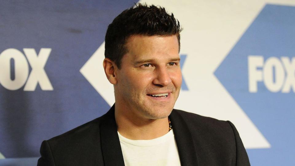 David Boreanaz, 2013