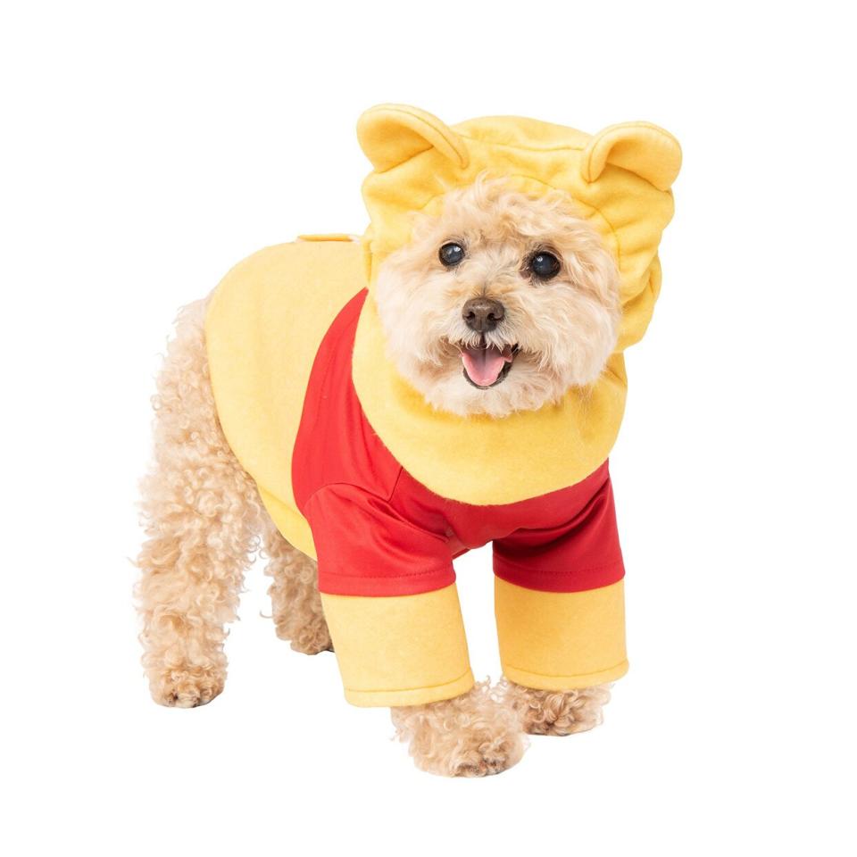 Dog wearing a Winnie the Pooh Pet Costume on a white background