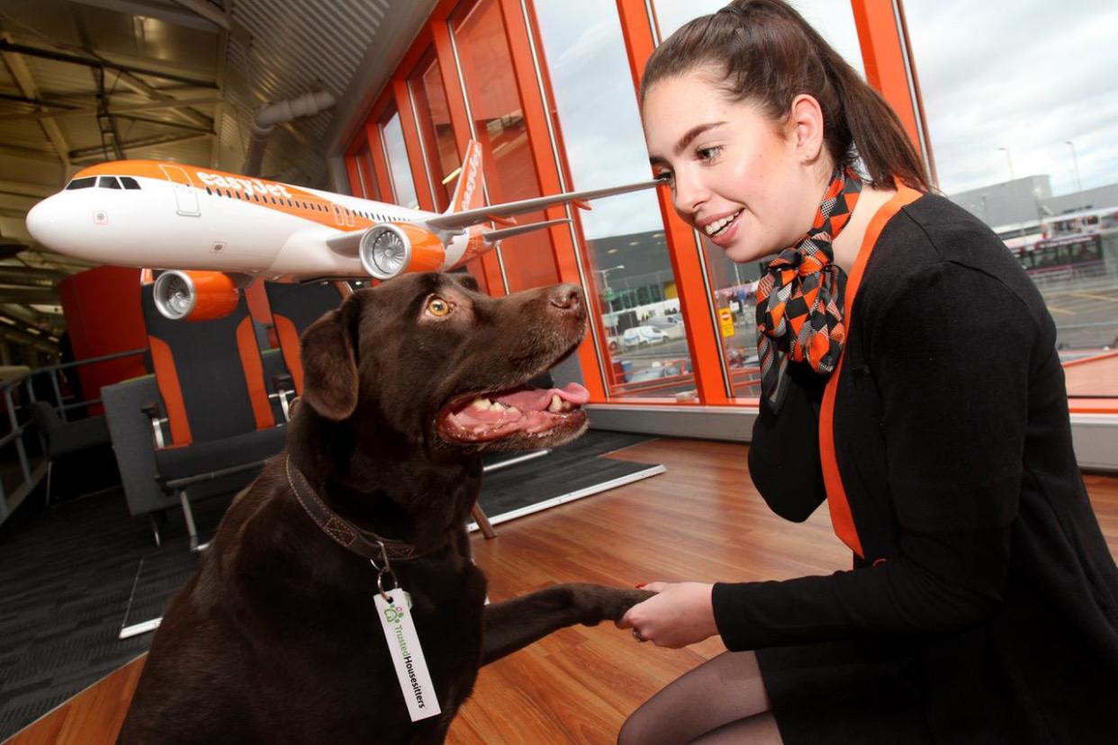 easyJet will launch its partnership with TrustedHousesitters in 2018: easyJet