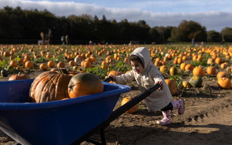 Big push, one girl takes to pushing the wheelbarrow herself - Dan Kitwood 