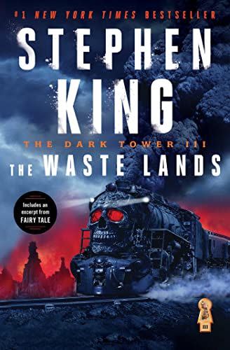 24) <em>The Dark Tower III: The Waste Lands</em>