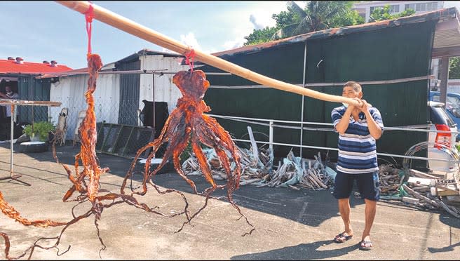 三級警戒延長，餐廳無法營業，導致大章魚滯銷，成功鎮漁民因此將章魚高掛在竹竿上打算曬成魚乾。（蔡旻妤攝）