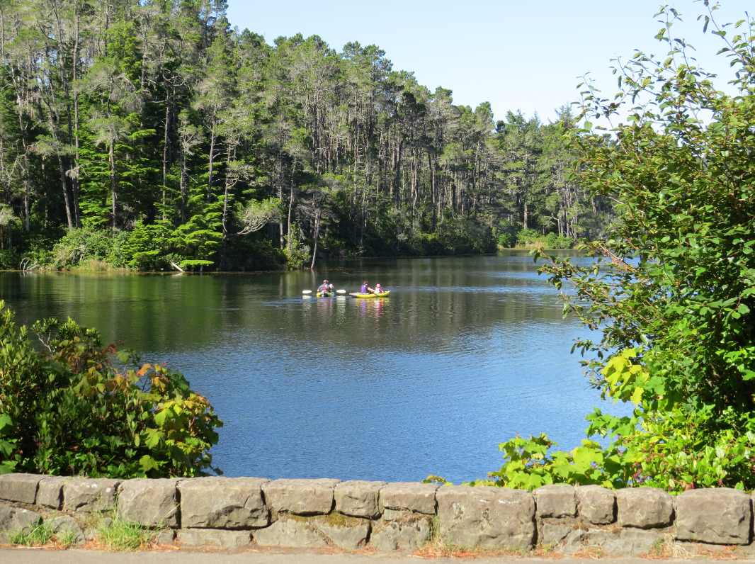 Paddlers on the water at Jessie M. Honeyman Memorial State Park near Florence.