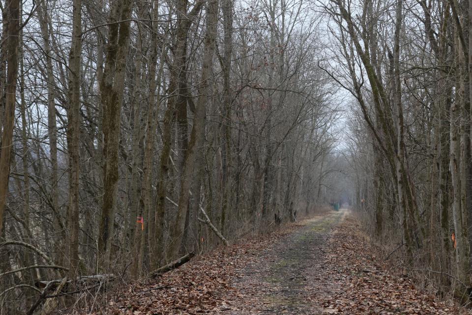 The unpaved portions of the Muskingum Recreational Trail will be paved this year, one of the several projects on tap for the Muskingum Valley Park District.
