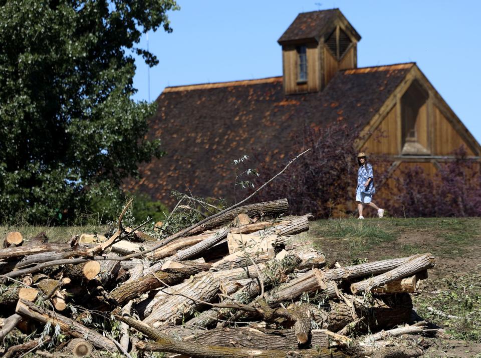 A pile of downed trees is pictured at Wheeler Farm in Murray on Thursday, Sept. 7, 2023. In preparation for emergency flood response at the farm and surrounding properties, Salt Lake County Flood Control and Parks and Recreation are taking proactive measures to protect persons and property. | Laura Seitz, Deseret News