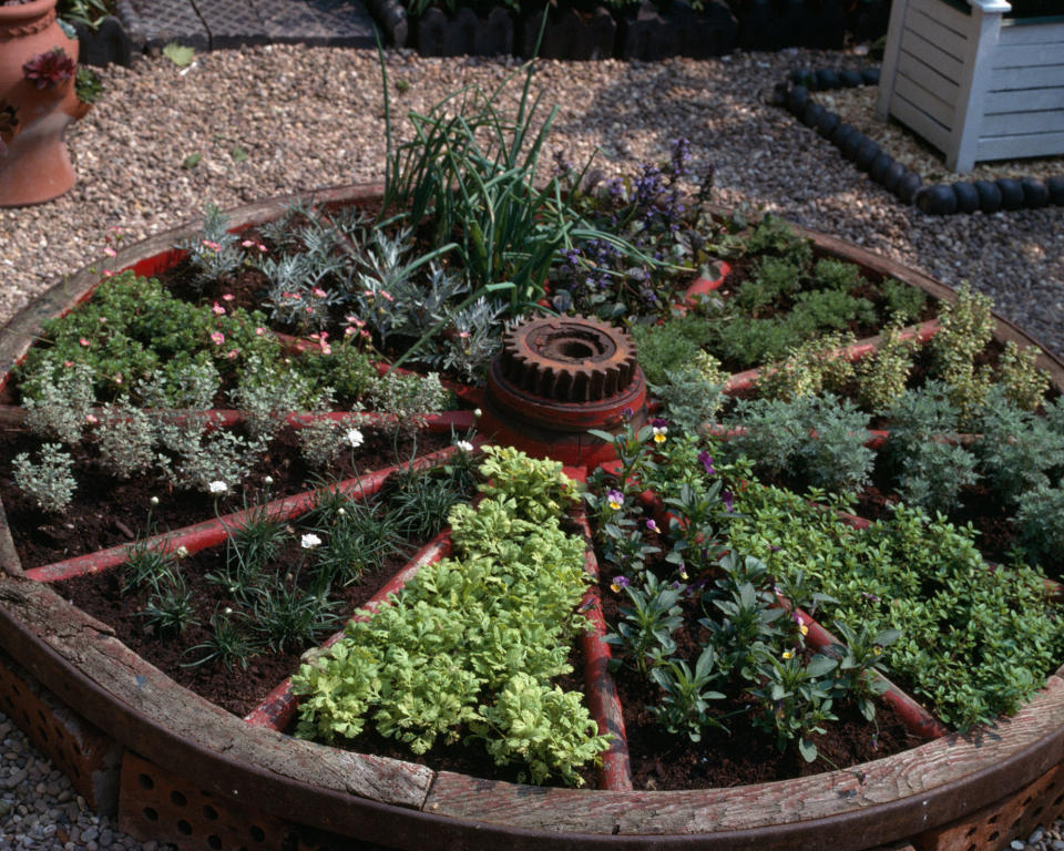 19. MAKE A GEOMETRIC HERB GARDEN