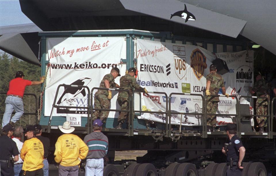 FILE - A water-tight container holding Keiko, a killer whale, and the star of the movie "Free Willy" is loaded into an Air Force C-17 cargo plane in Newport, Ore., on Sept. 9, 1998, before being flown to Iceland. An ambitious plan announced last week to return a killer whale to her home waters in Washington’s Puget Sound thrilled those who have long advocated for her to be freed from her tank at the Miami Seaquarium. But it also called to mind the release of Keiko, who failed to adapt to the wild after being returned to his native Iceland and died five years later. (AP Photo/Brian Hendrickson, File)