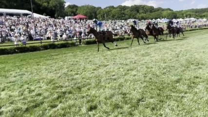Snap Decision becomes second three-time winner of the Iroquois Steeplechase