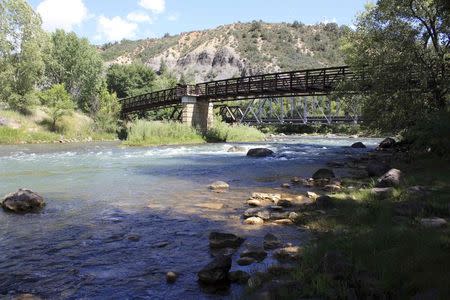 The Animas River is pictured following last week's Gold King Mine spill in Durango, Colorado August 12, 2015. REUTERS/Hanna Maddera