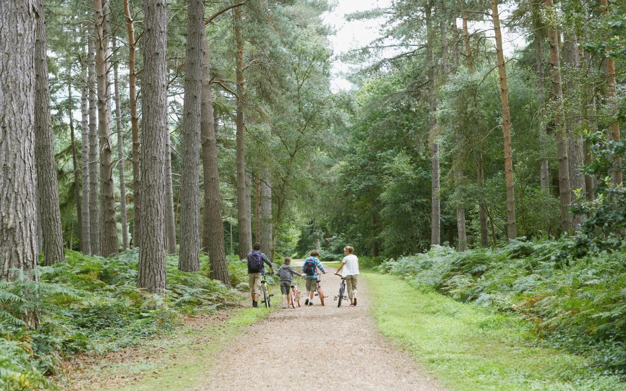 Two-wheeled adventures are always a winner - getty