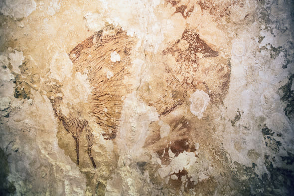 Embargoed to 1800 Wednesday October 8Undated handout photo issued by the University of Wollongong of a Babirusa ('deer-pig') and a hand stencil found in a cave in Indonesia, raising new questions about early mankind and the development of art in prehistoric times. PRESS ASSOCIATION Photo. Issue date: Monday September 8, 2014. Animal drawings and hand stencils, the earliest of which has been radiocarbon-dated to almost 40,000 years ago, were discovered by a team of Australian and Indonesian archaeologists on the island of Sulawesi. See PA story SCIENCE Painting. Photo credit should read: Kinez Riza/University of Wollongong/PA WireNOTE TO EDITORS: This handout photo may only be used in for editorial reporting purposes for the contemporaneous illustration of events, things or the people in the image or facts mentioned in the caption. Reuse of the picture may require further permission from the copyright holder.