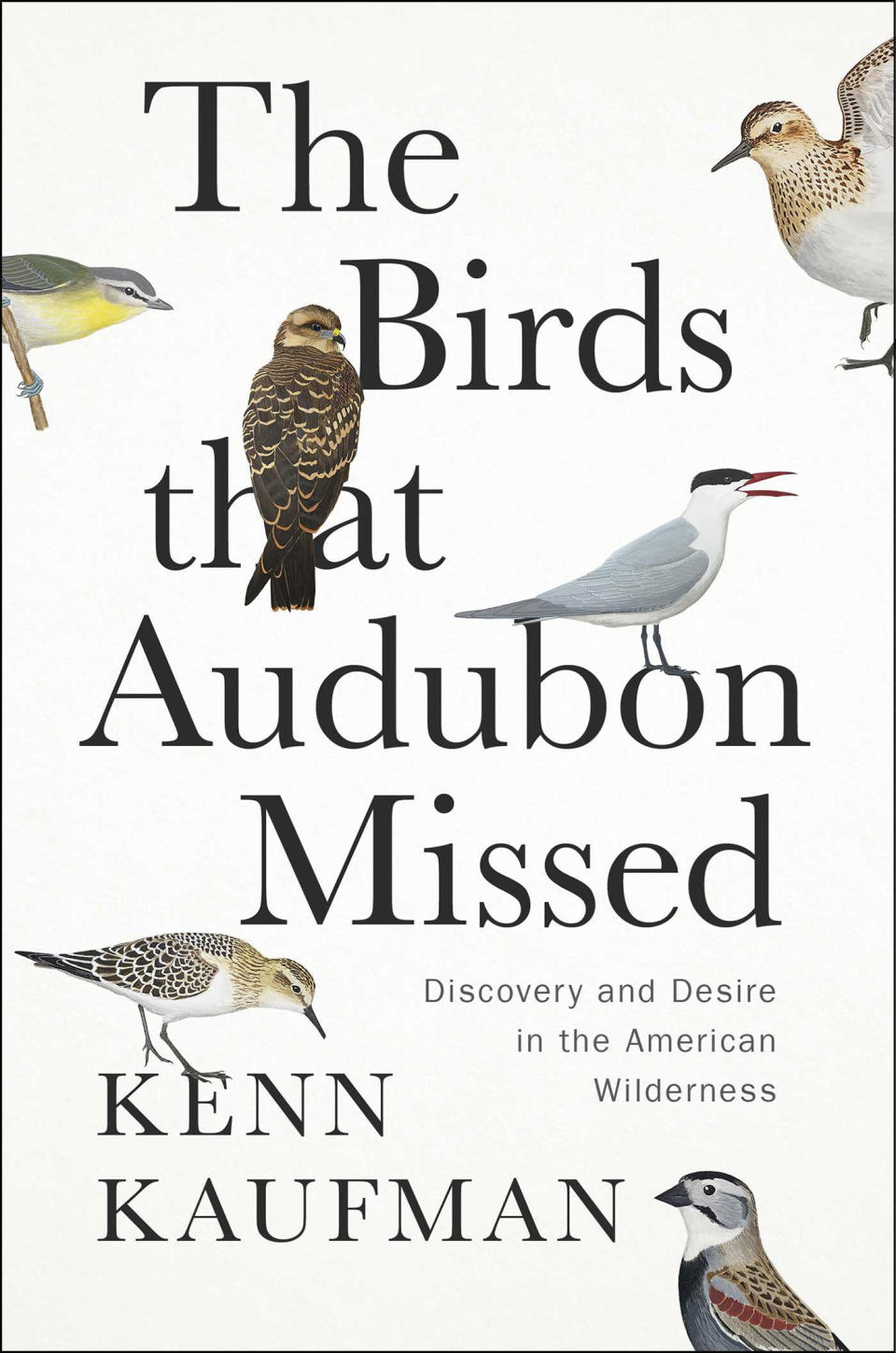 This cover image released by Avid Reader Press shows "The Birds that Audubon Missed: Discovery and Desire in the American Wilderness" by Kenn Kaufman. (Avid Reader via AP)