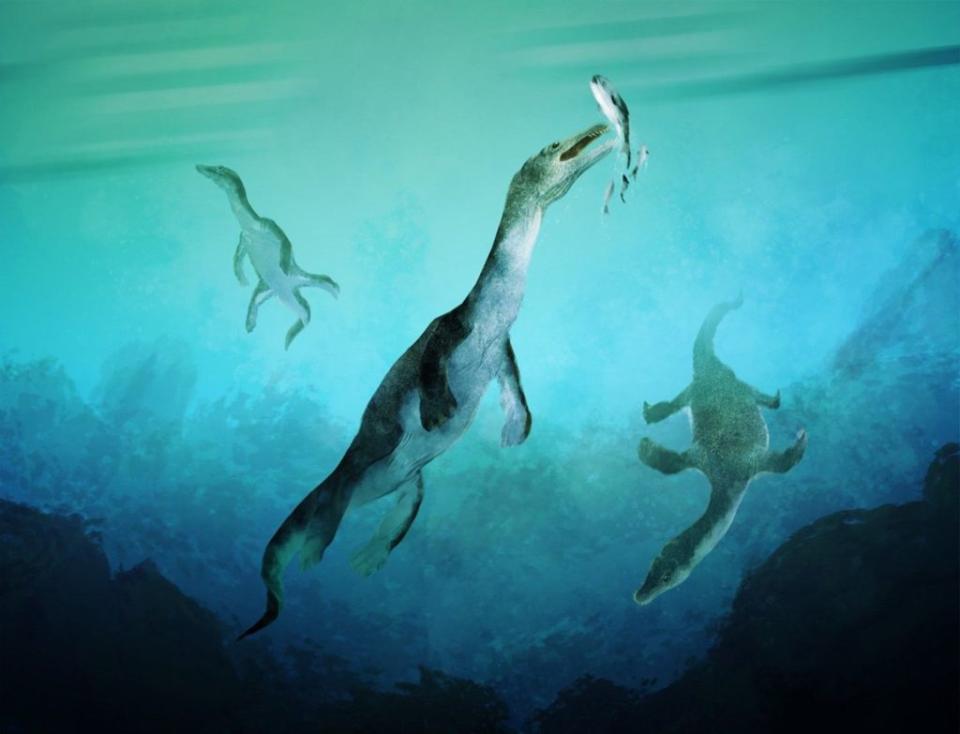 這幅圖像展示了大約246百萬年前（即三疊紀時期）幻龍在現今紐西蘭的南極古海岸游泳的場景。圖片來源：Stavros Kundromichalis。