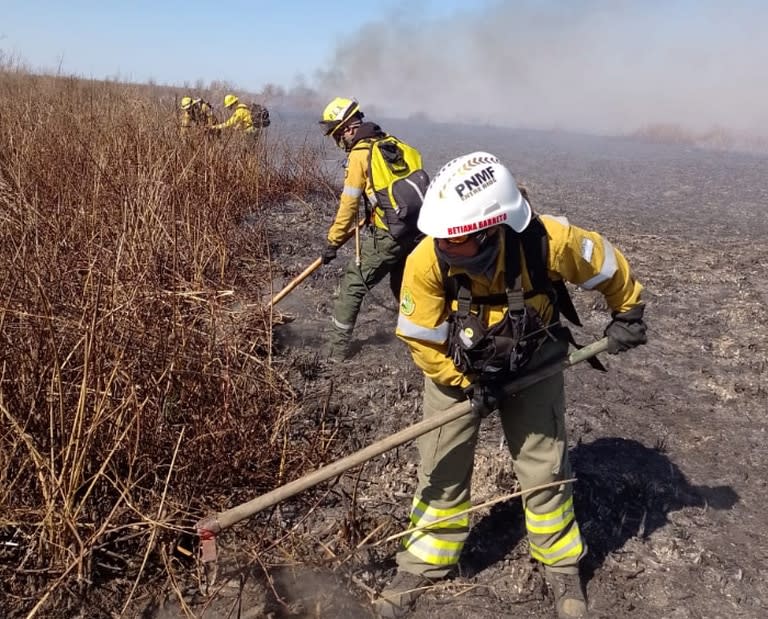 Incendios en el Delta