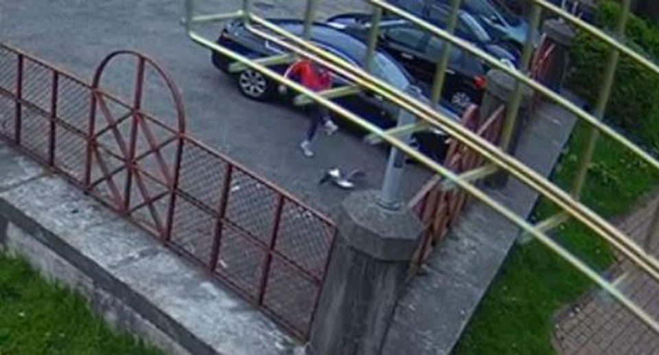 A Welsh man is filmed on CCTV kicking a seagull to death.