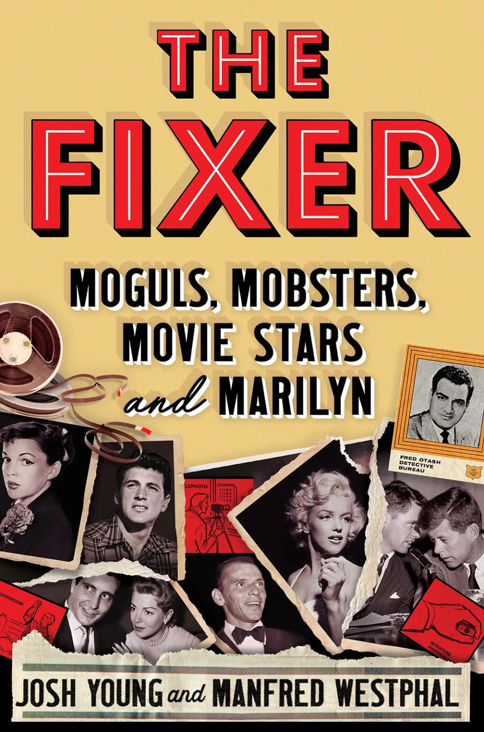 The Fixer book cover