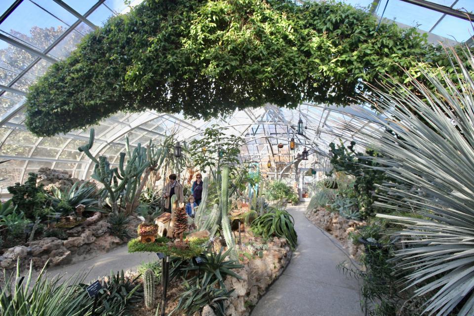 The Desert House at Cincinnati's Krohn Conservatory contains many cactuses and other succulents.