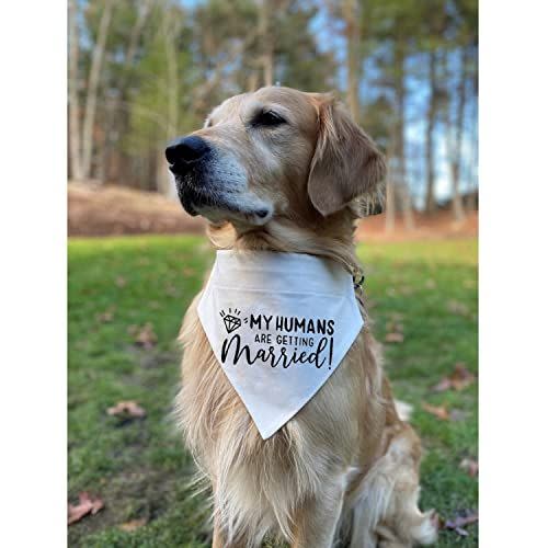 Getting Married Dog Bandana