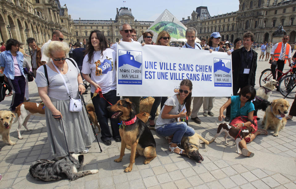 Dog owners pose near the Louvre, in Paris, Saturday June 8, 2013. At least 100 pooches with owners in tow, holding leashes marched near the Louvre at a demonstration to demand more park space and access to public transport for the four-legged friends. Sign reads: A City without Dogs is a City Without Soul. (AP Photo/Remy de la Mauviniere)