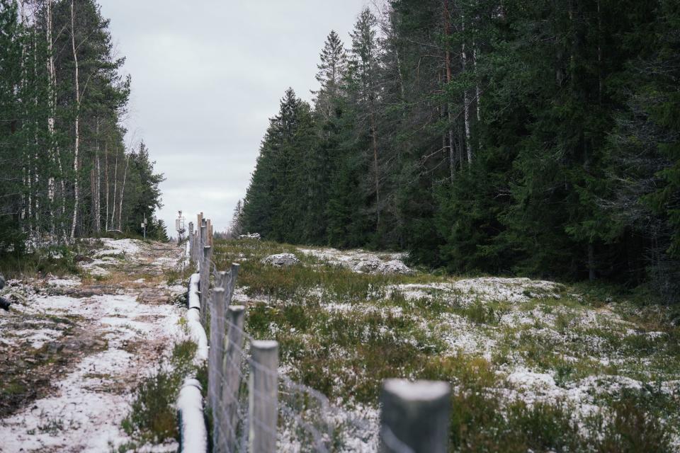 A fence among forests marking the boundary area between Finland and the Russian Federation is pictured near the border crossing of Pelkola, in Imatra, Finland on November 18, 2022. - Finland unveiled on November 18, 2022 a plan to increase security on its border with Russia, including a 200-kilometre (124-mile) fence, after the invasion of Ukraine sparked tensions along the border. (Photo by Alessandro RAMPAZZO / AFP) (Photo by ALESSANDRO RAMPAZZO/AFP via Getty Images)