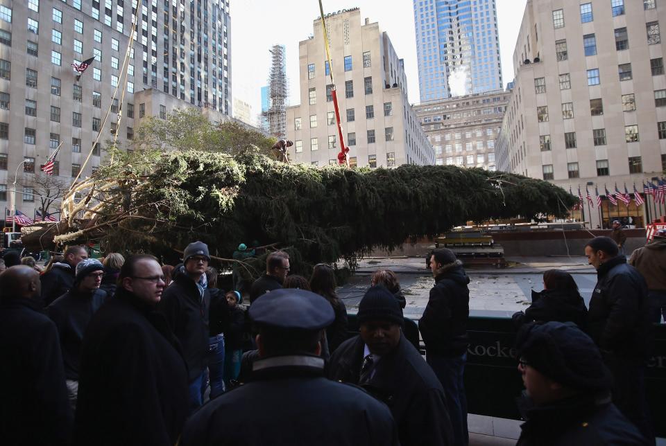 NEW YORK, NY - NOVEMBER 14: People watch as the Rockefeller Center Christmas tree is raised into position on November 14, 2012 in New York City. The tree, an 80-year old Norway Spruce, was donated by Joe Balku of Flanders, New Jersey. It weighs approximately 10 tons, measures 80 feet tall and is 50 feet in diameter. The official tree-lighting ceremony will be Wednesday, November 28. (Photo by John Moore/Getty Images)