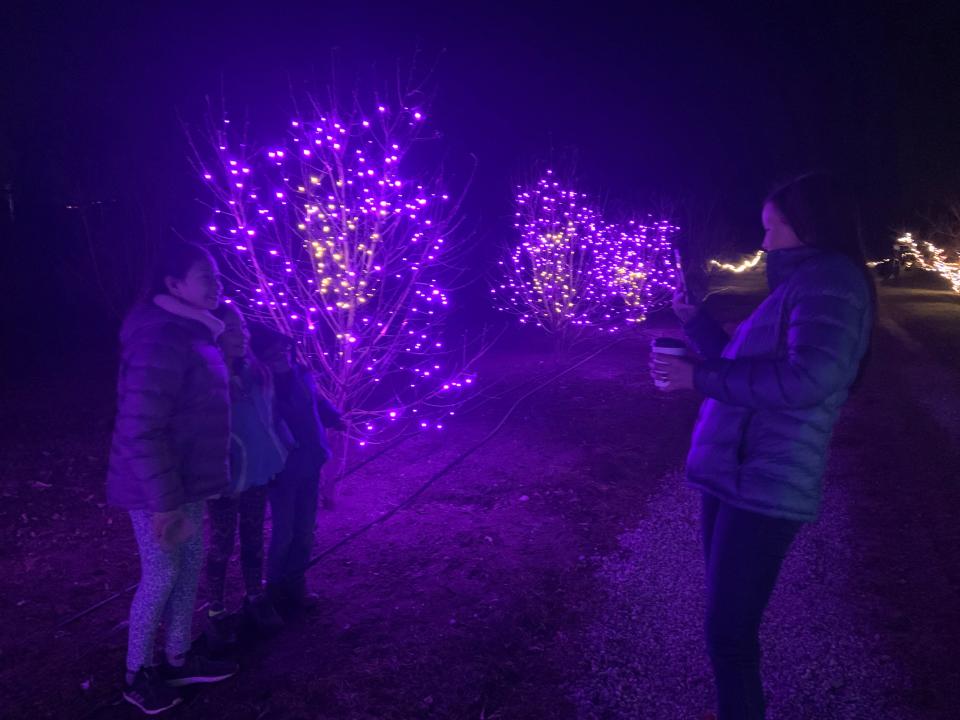 Visitors take pictures of themselves at the Winter Lights display at the Red Apple Farm in Phillipston.