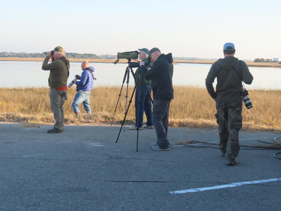 Birdwatchers have come from across North Carolina and the Southeast to see "Rocky." These twitchers had gathered Feb. 12, just a day after the mountain bluebird was first sighted in Wrightsville Beach.