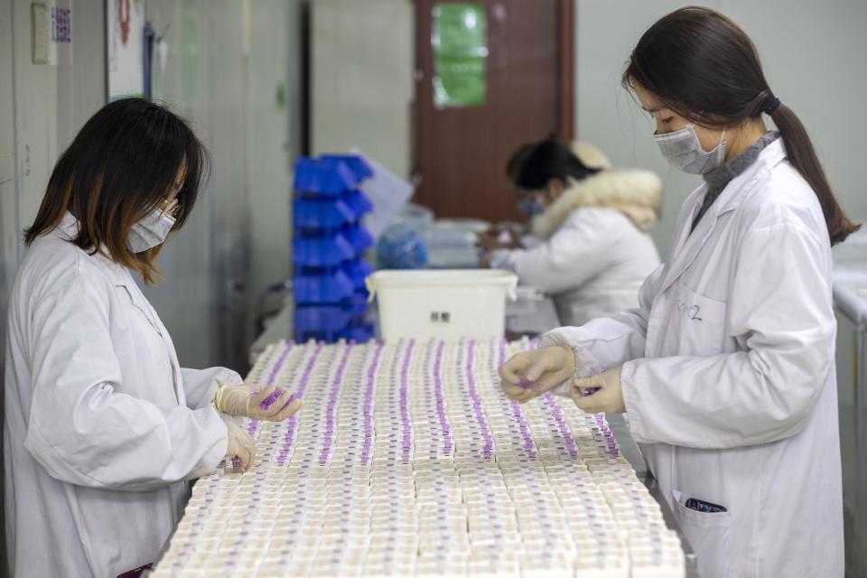 Chinese workers manufacture the nucleic acid detection agent for the new coronavirus at the plant of Jiangsu Bioperfectus Technologies Co., Ltd. in Taizhou City, east China's Jiangsu Province on January 29th, 2020. (Photo by Tang Dehong / Costfoto/Sipa USA)