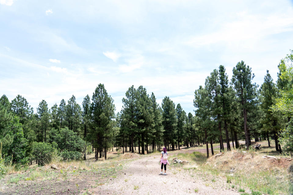 Lisa Perez, 60, diagnosed with cancer, walks along a trail during a forest bathing session with the Arizona Cancer Support Community in Flagstaff on July 21, 2022. Shinrin-yoku, also known as forest bathing, is a Japanese health and wellness practice meant for participants to immerse themselves with the forest atmosphere.