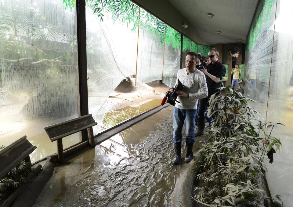 FILE - In this June, 7, 2013 file photo media people walk in a damaged corridor in the zoo in Prague, Czech Republic. More than a decade after many of its animals drowned, the Prague Zoo is counting the cost of yet another devastating flood. In 2002, more than 100 animals died. This time, only a handful of animals were swept away and an army of volunteers are making sure the hundreds that have been evacuated return home as soon as possible. (AP Photo/CTK, Roman Vondrous, File) SLOVAKIA OUT