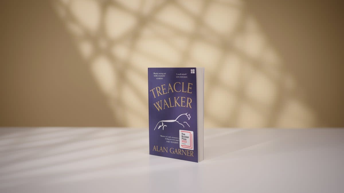 Treacle Walker by Alan Garner has been shortlisted for the 2022 Booker Prize (PA)