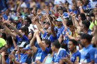 Brasileiro Championship - Cruzeiro v Palmeiras