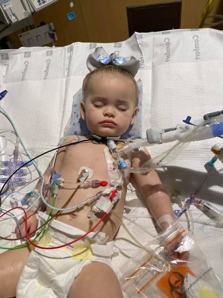 Reese Hamsmith was about 18 months old when she died in December 2020 following more than a month of battling injuries caused by swallowing a button battery.